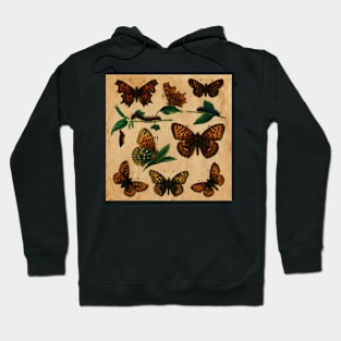 Watercolour Butterfly Hoodie